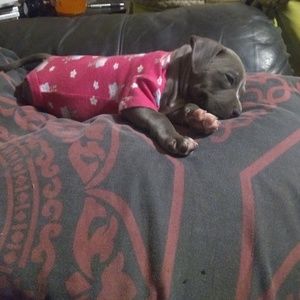 Meet your Posher, Mika